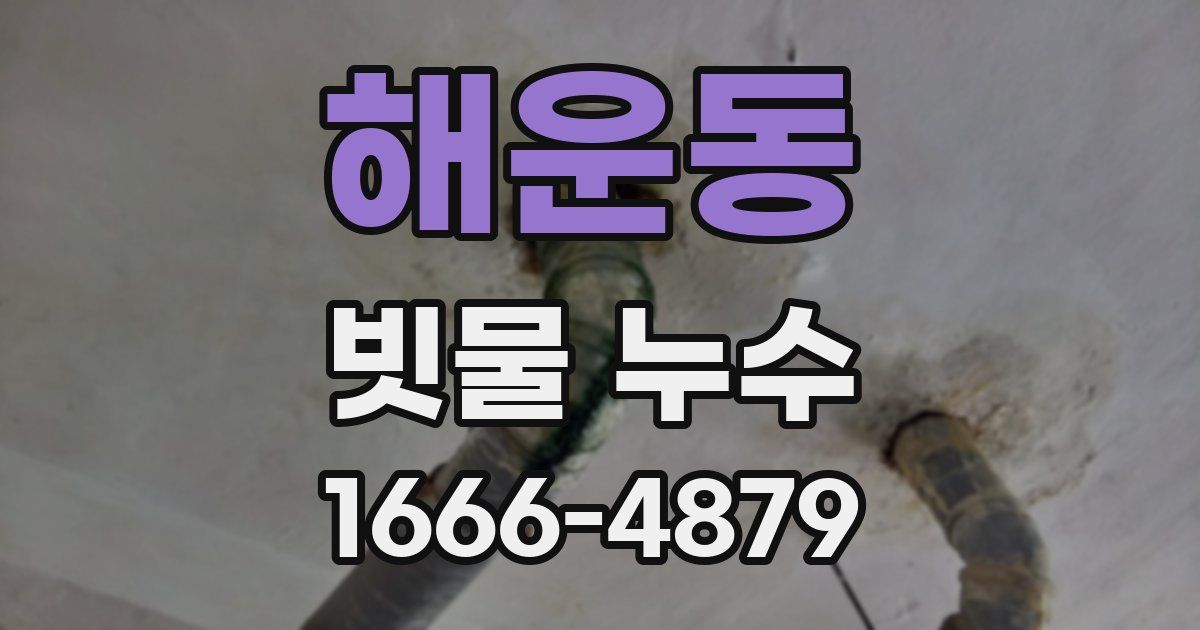 해운동 빗물 누수
