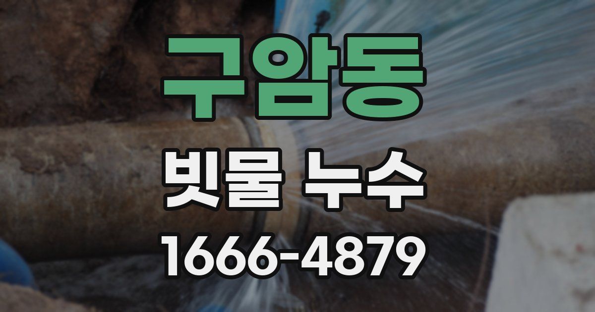 구암동 빗물 누수