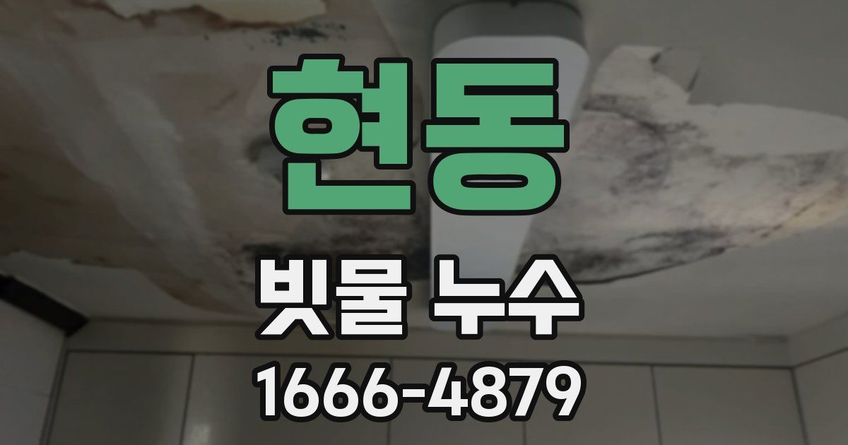 현동 빗물 누수