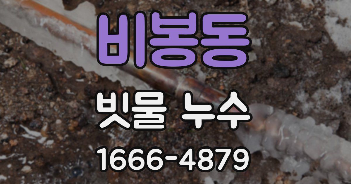 비봉동 빗물 누수