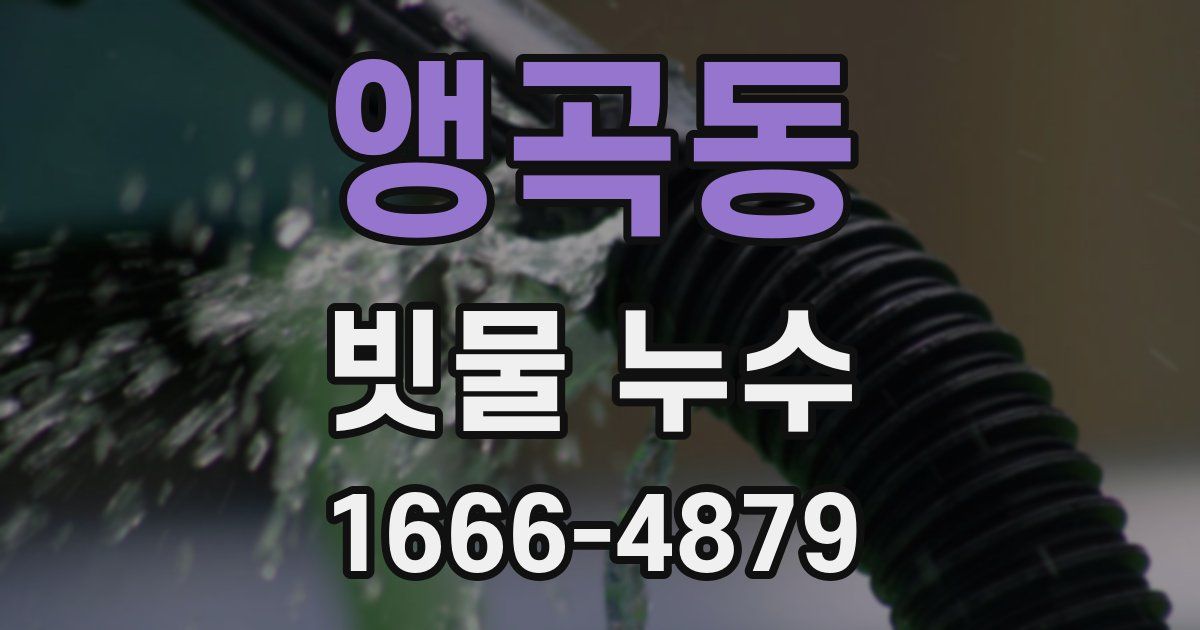 앵곡동 빗물 누수