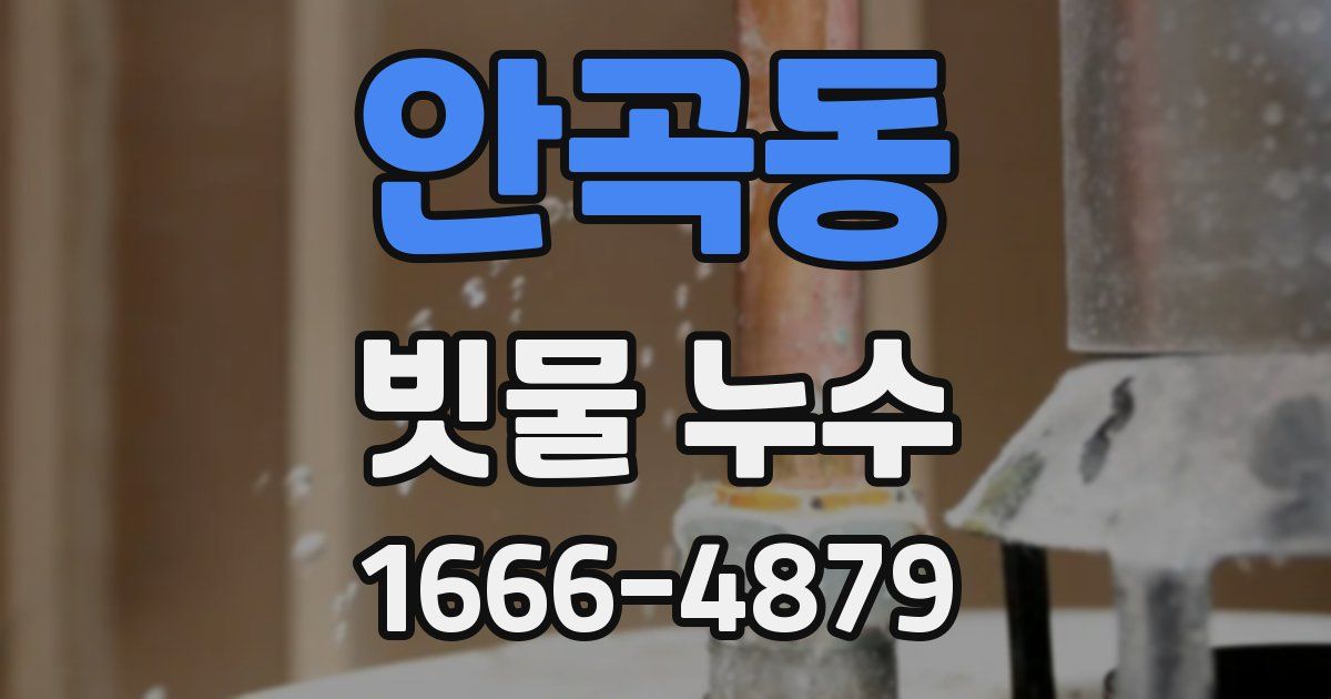 안곡동 빗물 누수