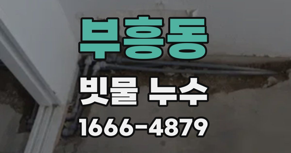 부흥동 빗물 누수