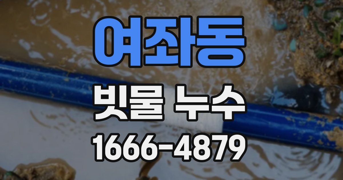 여좌동 빗물 누수