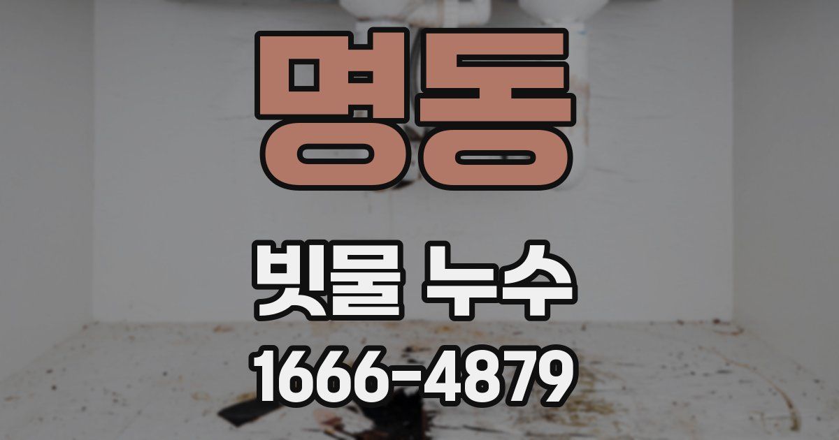 명동 빗물 누수