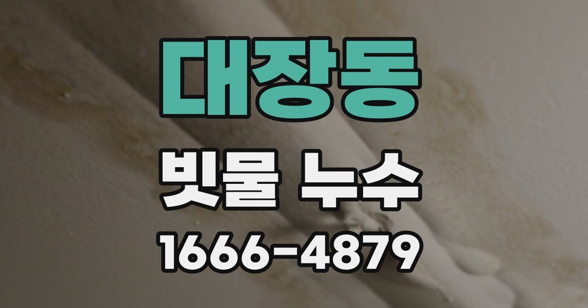 대장동 빗물 누수