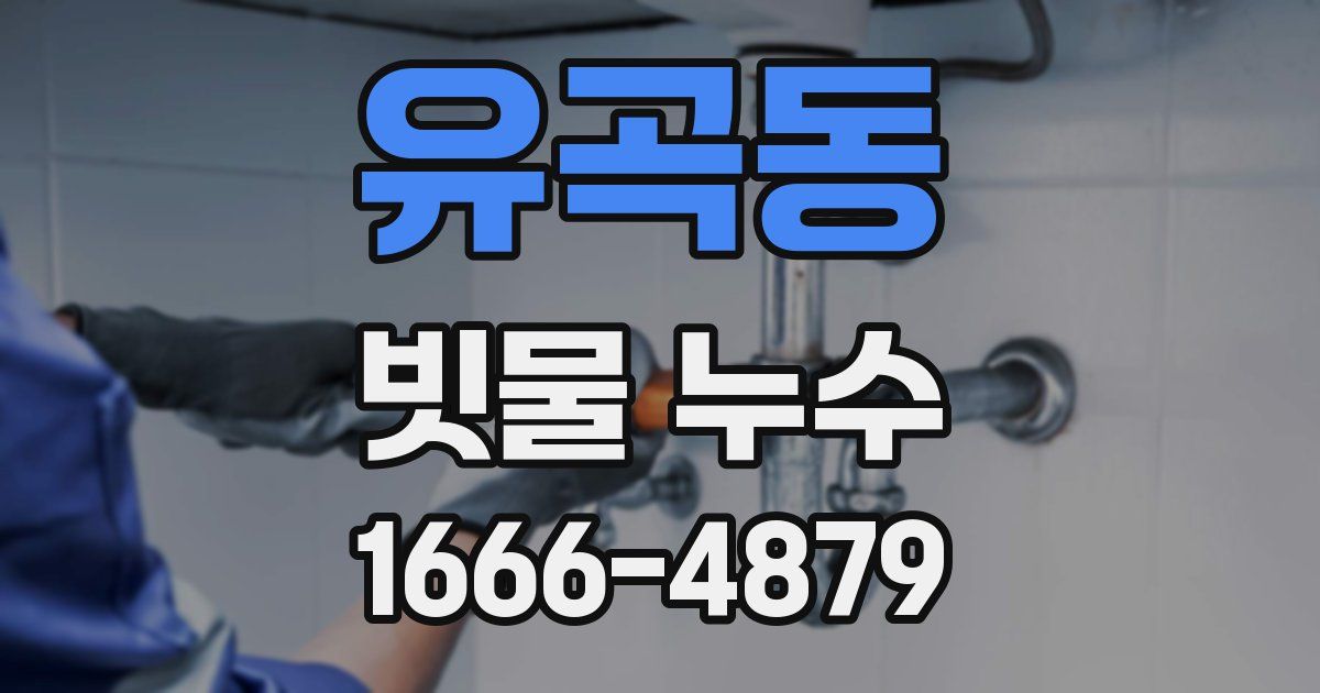 유곡동 빗물 누수
