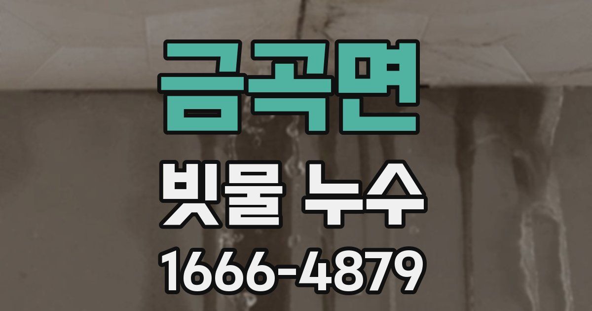 금곡면 빗물 누수