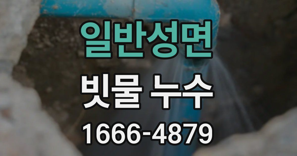 일반성면 빗물 누수