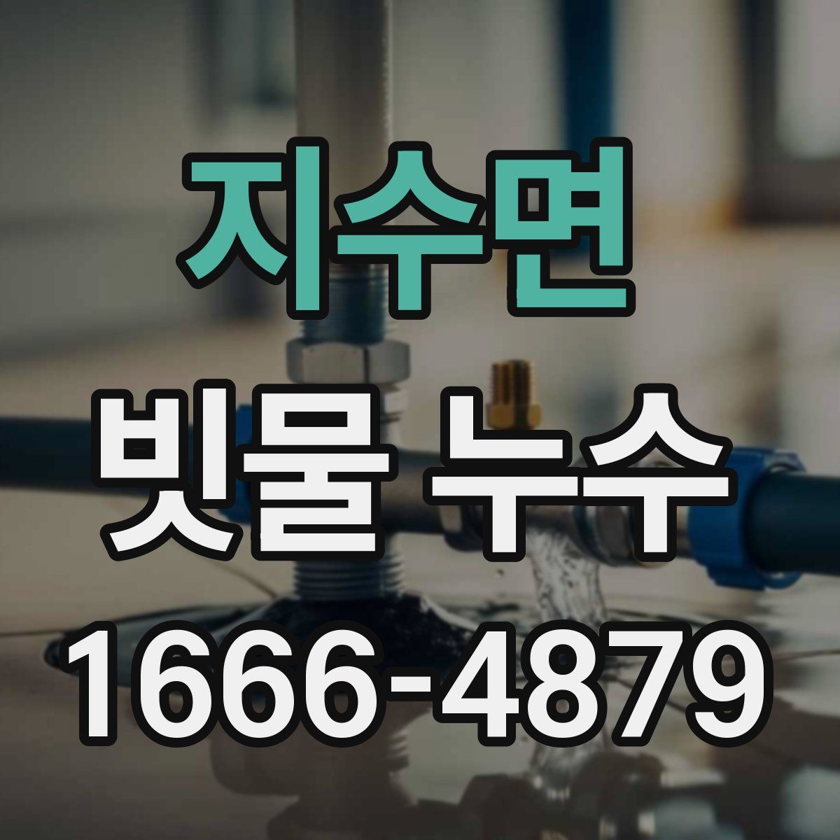 지수면 빗물 누수