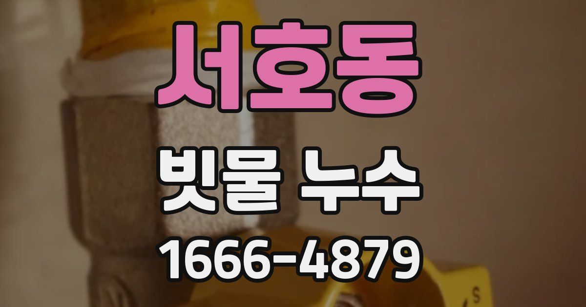 서호동 빗물 누수