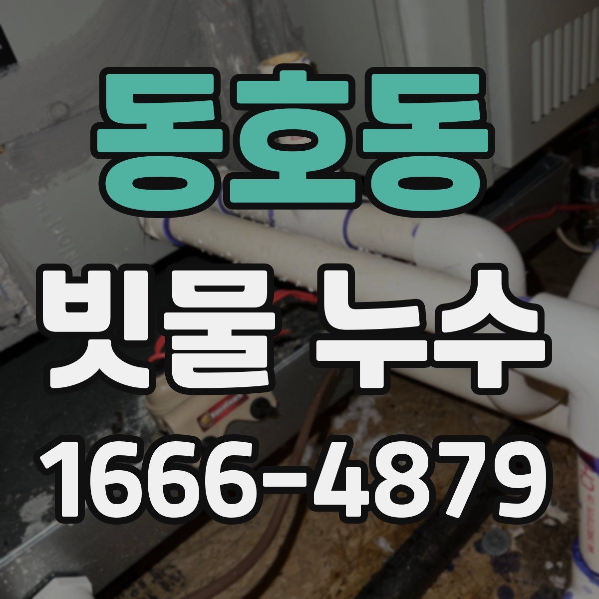 동호동 빗물 누수