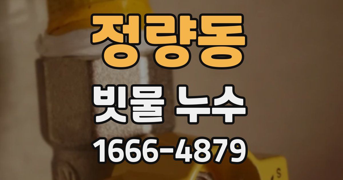 정량동 빗물 누수