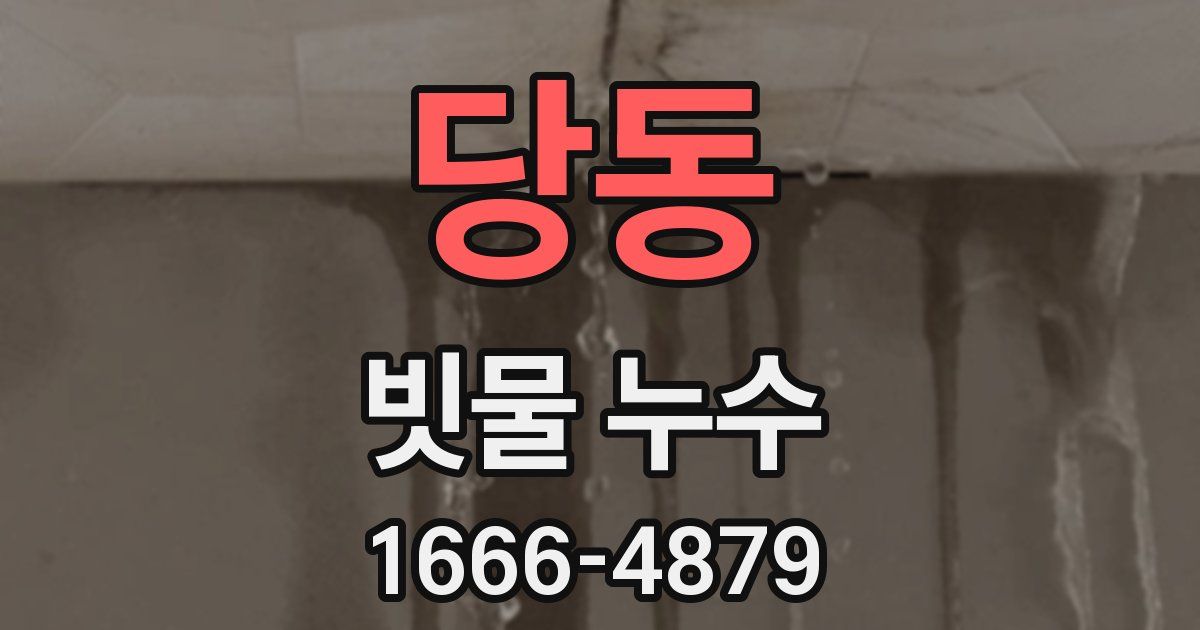 당동 빗물 누수