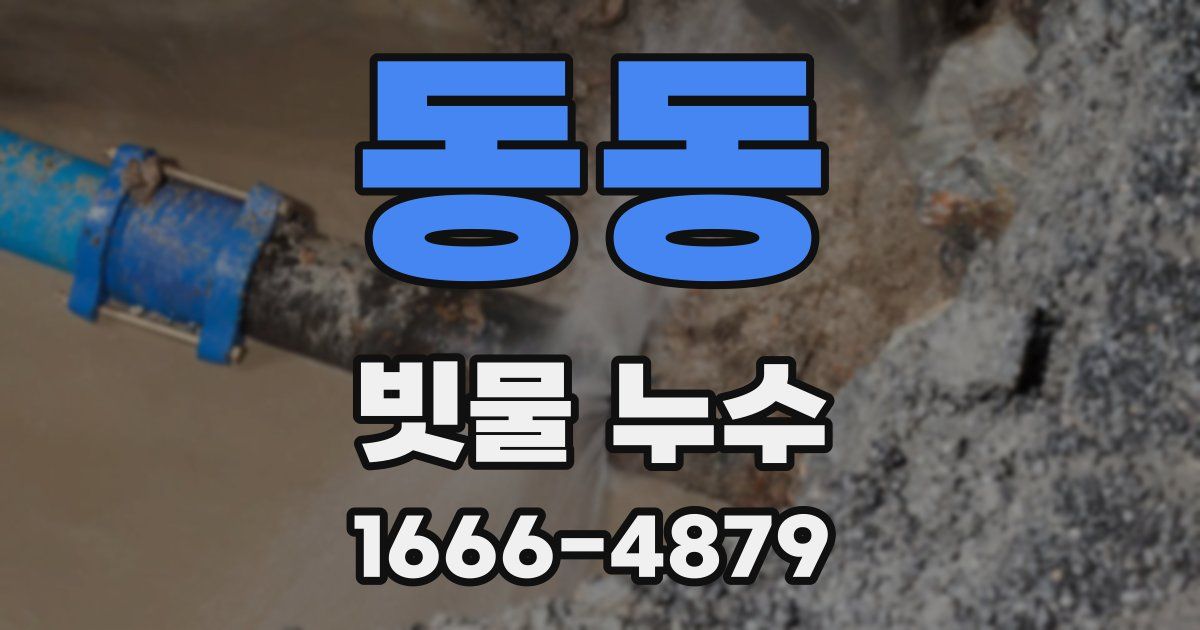동동 빗물 누수