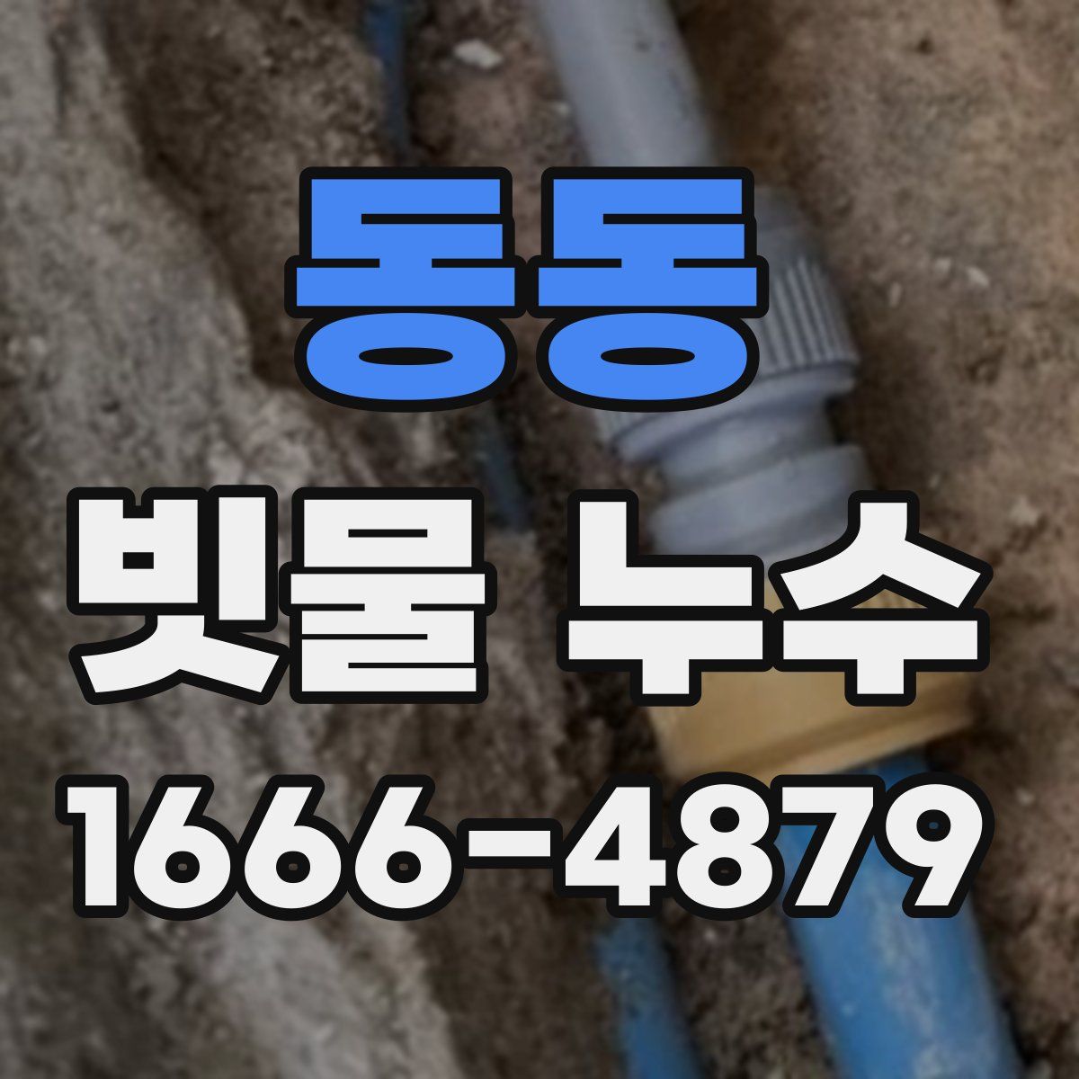 동동 빗물 누수