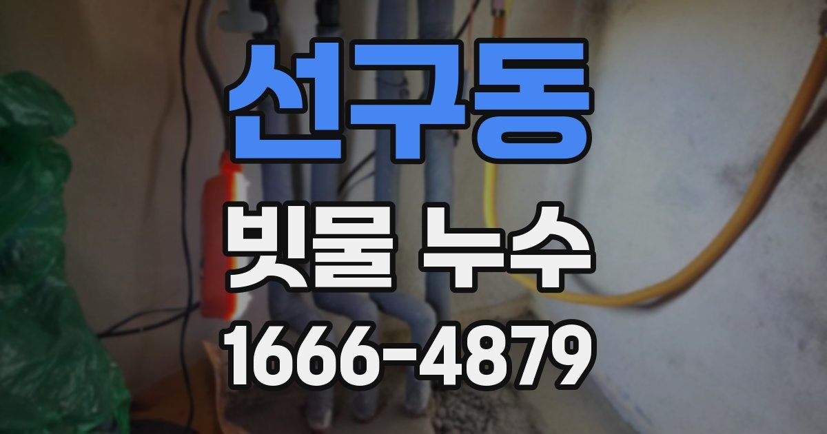 선구동 빗물 누수