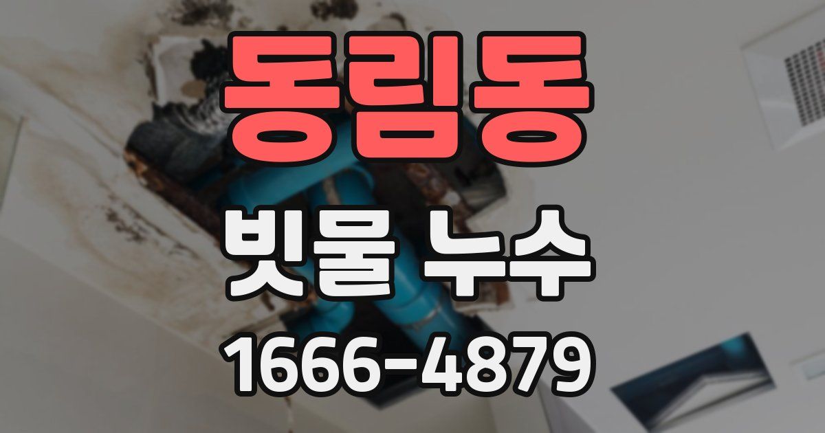동림동 빗물 누수