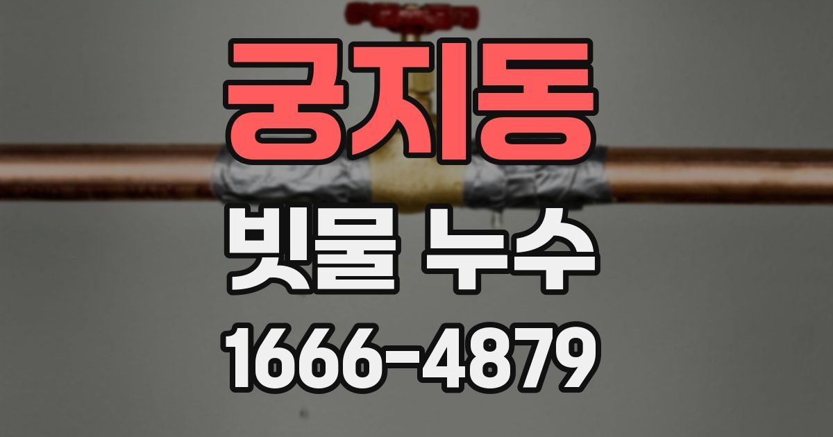 궁지동 빗물 누수