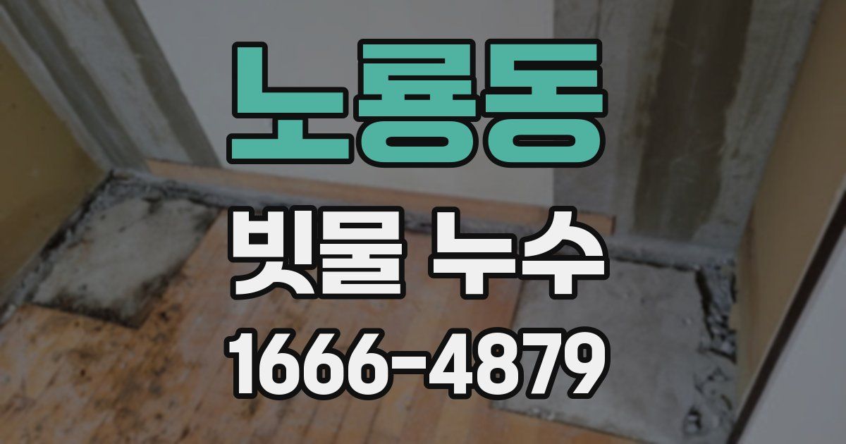 노룡동 빗물 누수