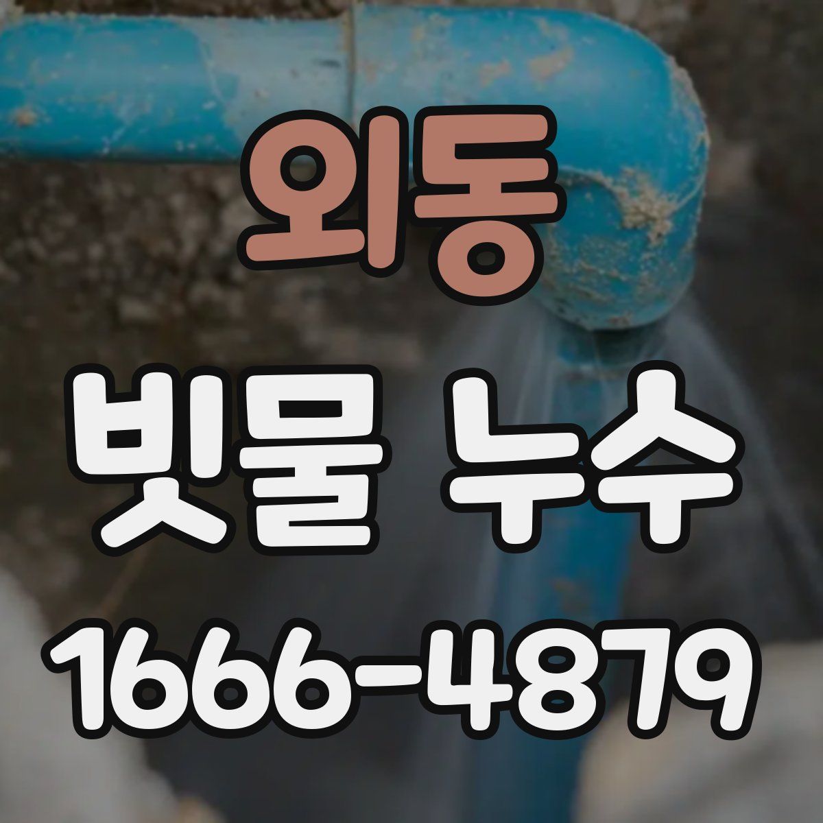 외동 빗물 누수