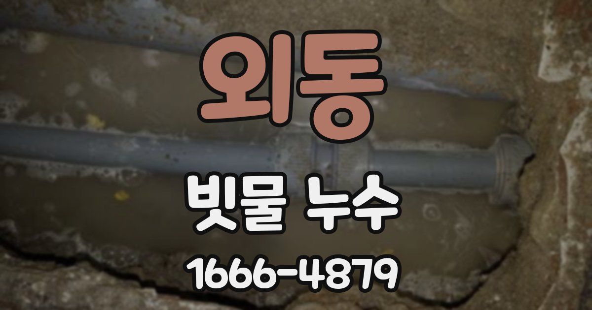 외동 빗물 누수