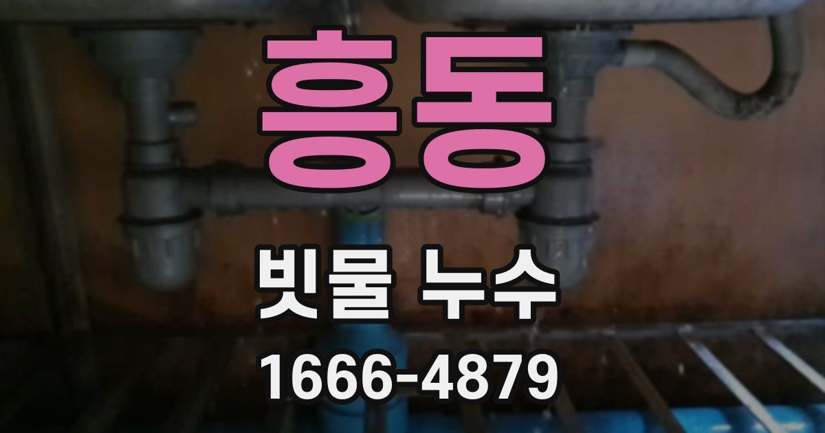 흥동 빗물 누수