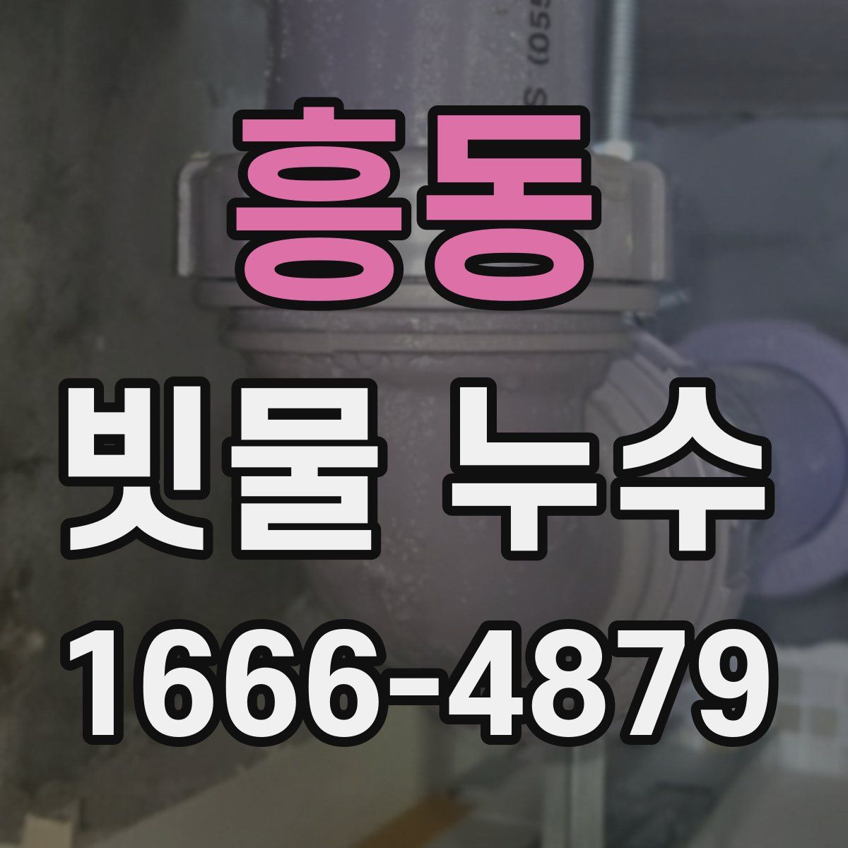 흥동 빗물 누수