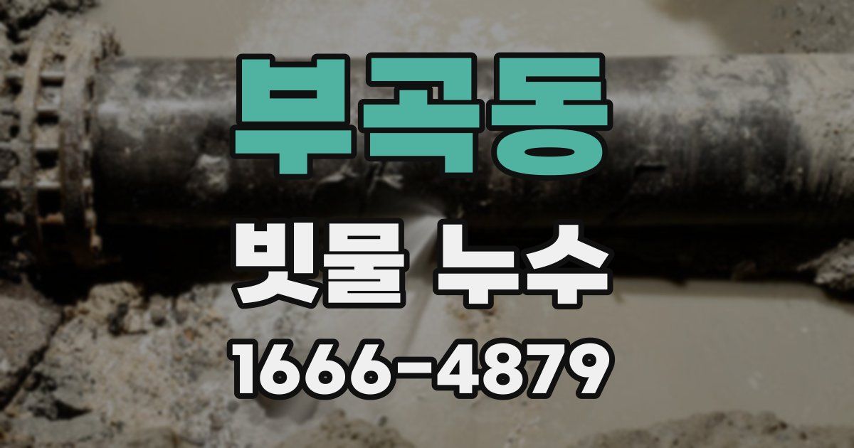 부곡동 빗물 누수