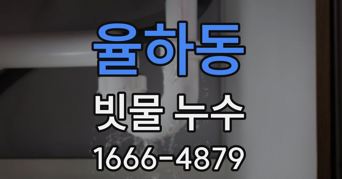 율하동 빗물 누수