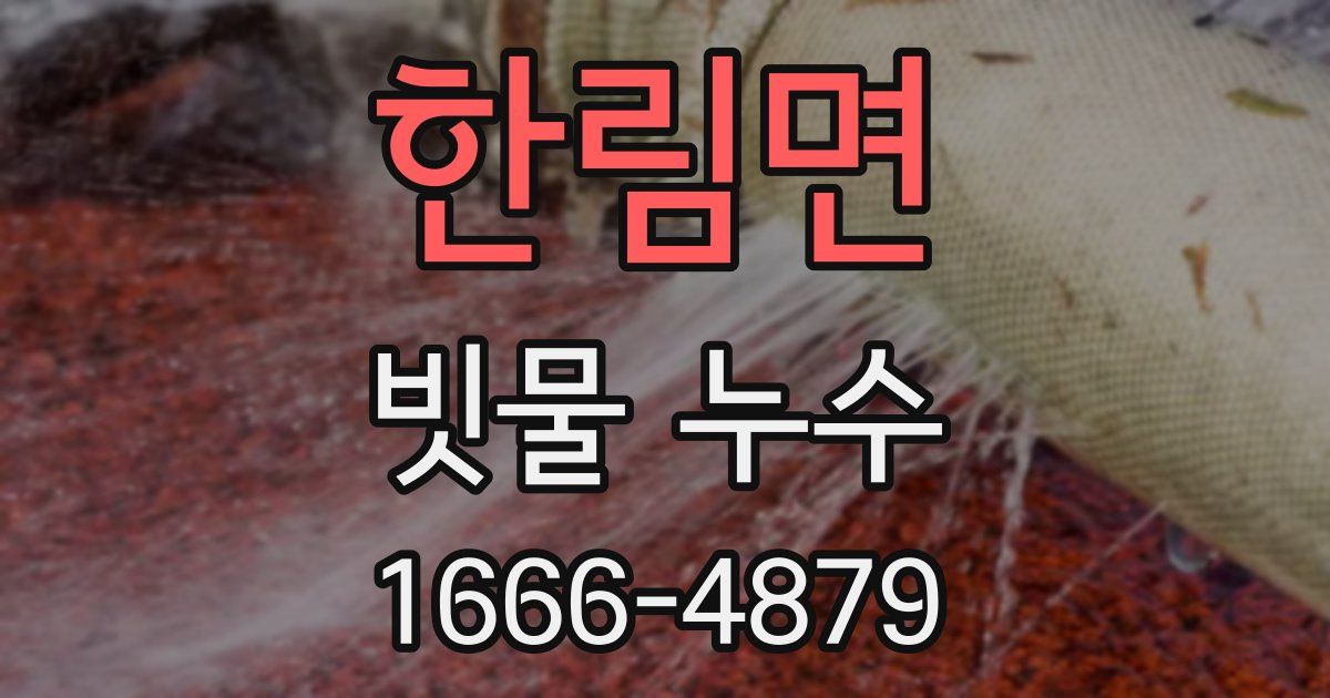 한림면 빗물 누수