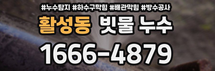 활성동 빗물 누수