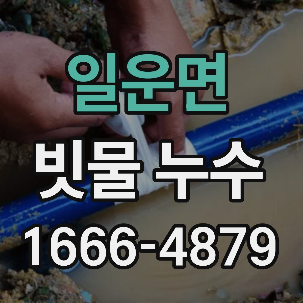일운면 빗물 누수