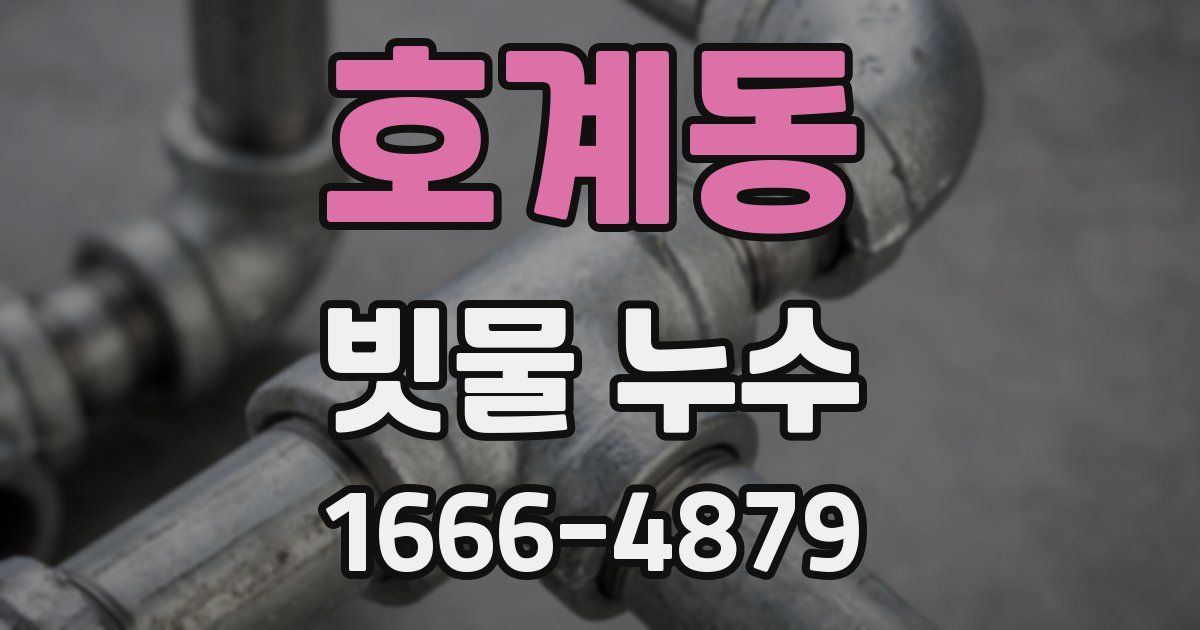 호계동 빗물 누수