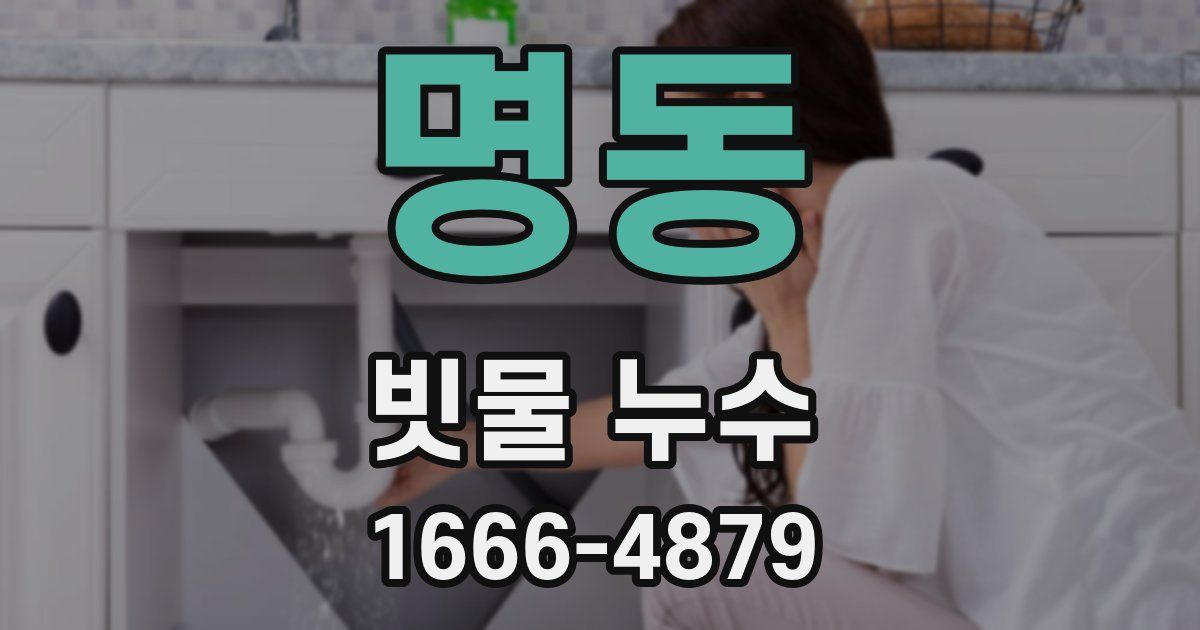 명동 빗물 누수