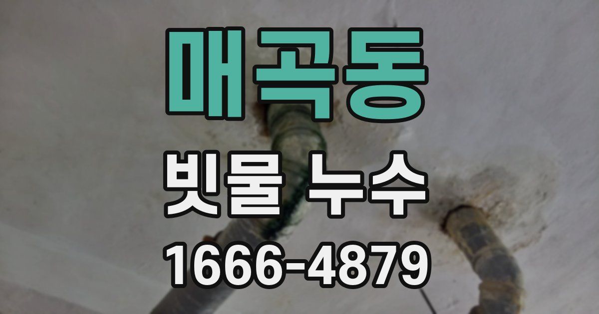 매곡동 빗물 누수