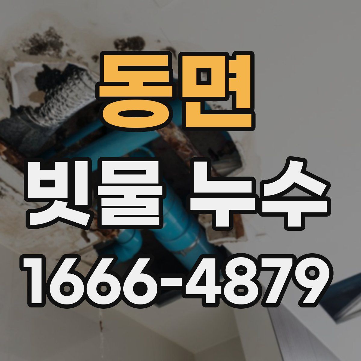 동면 빗물 누수