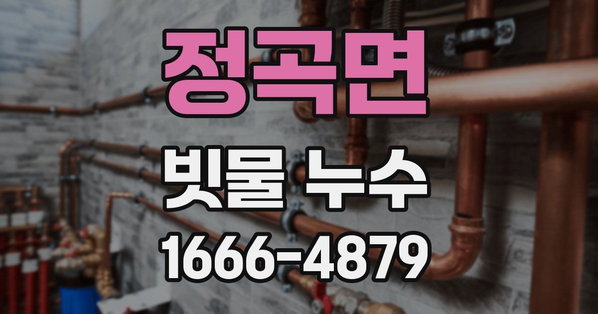 정곡면 빗물 누수