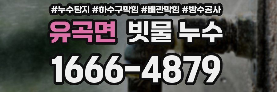 유곡면 빗물 누수