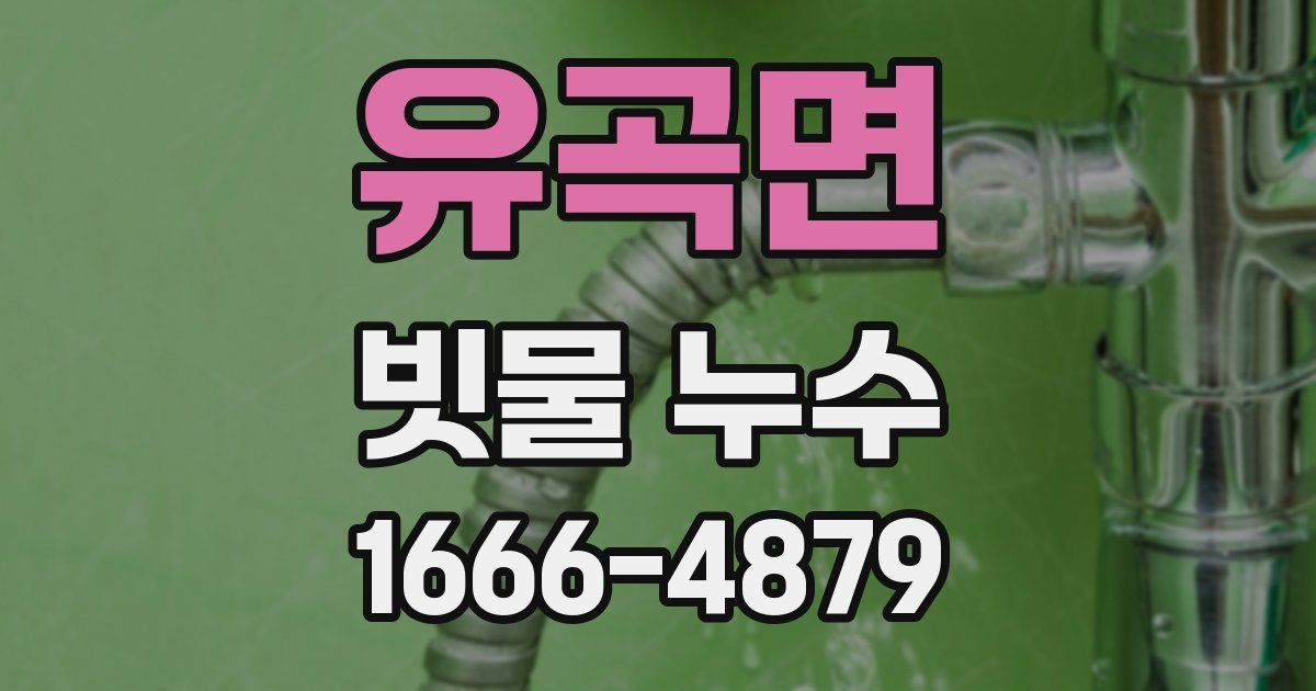 유곡면 빗물 누수