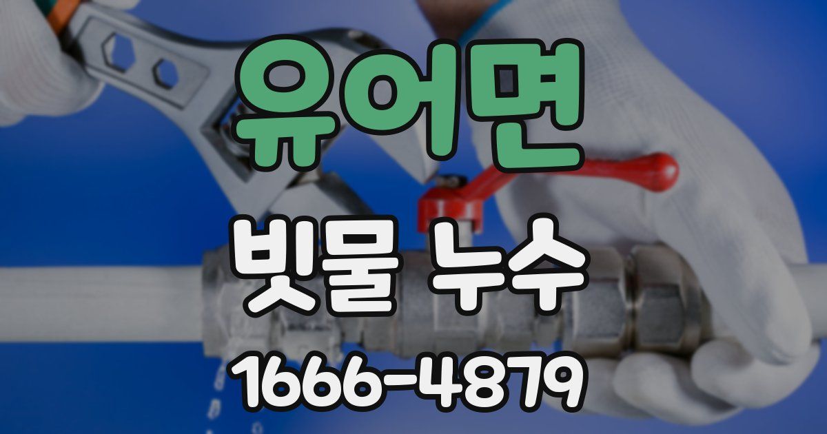 유어면 빗물 누수