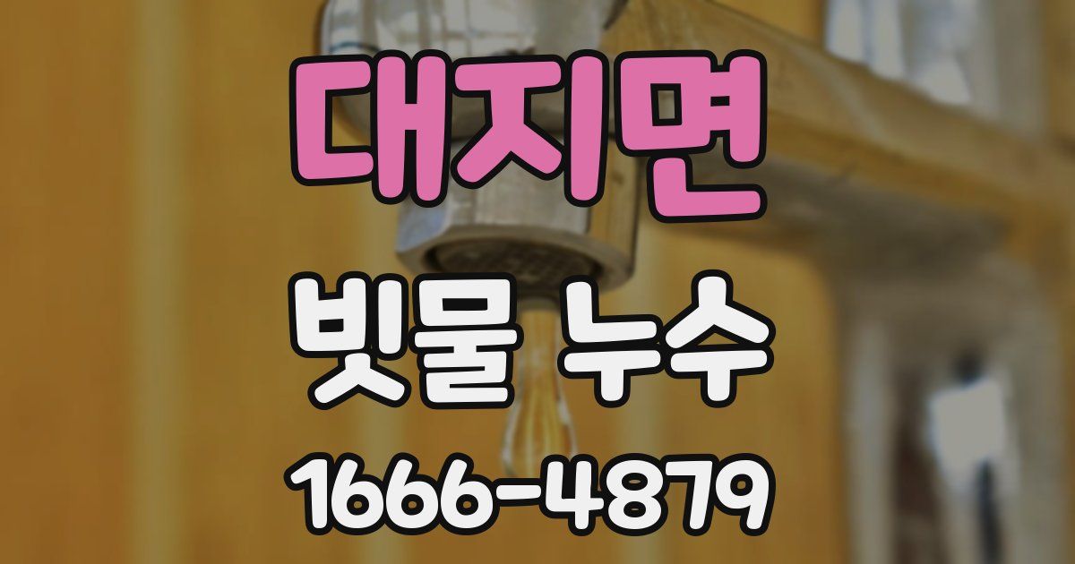 대지면 빗물 누수