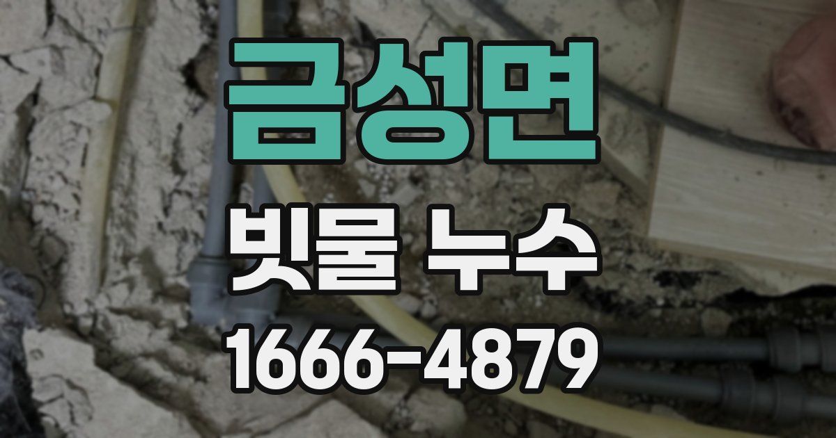 금성면 빗물 누수