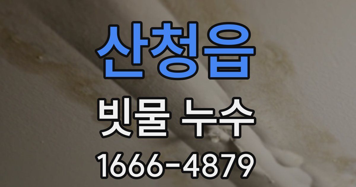산청읍 빗물 누수