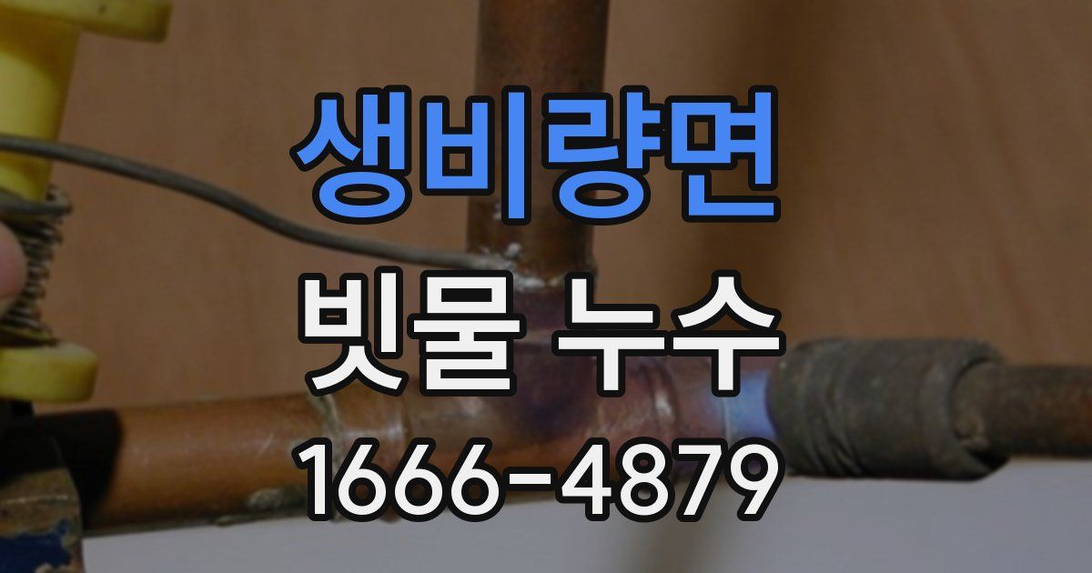 생비량면 빗물 누수