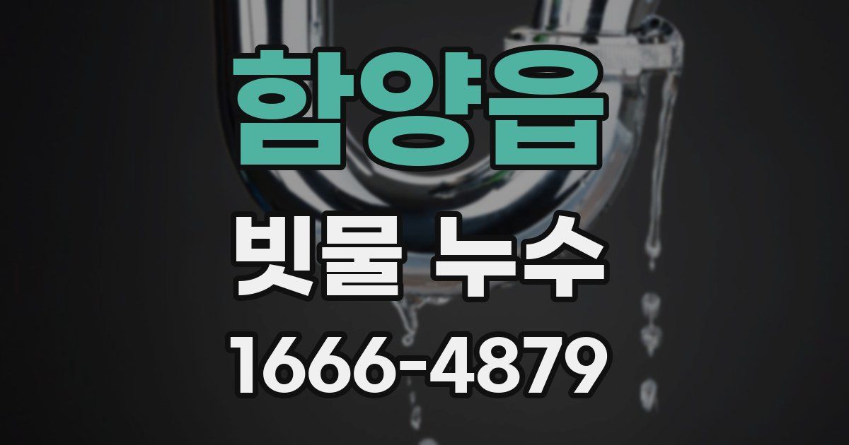 함양읍 빗물 누수