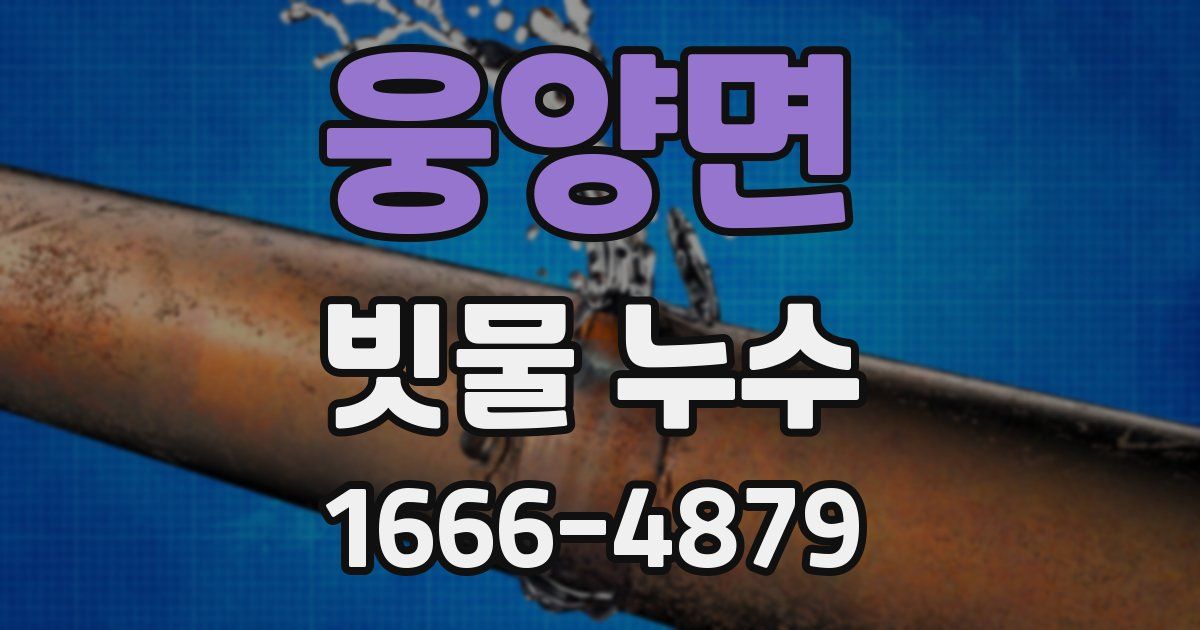 웅양면 빗물 누수