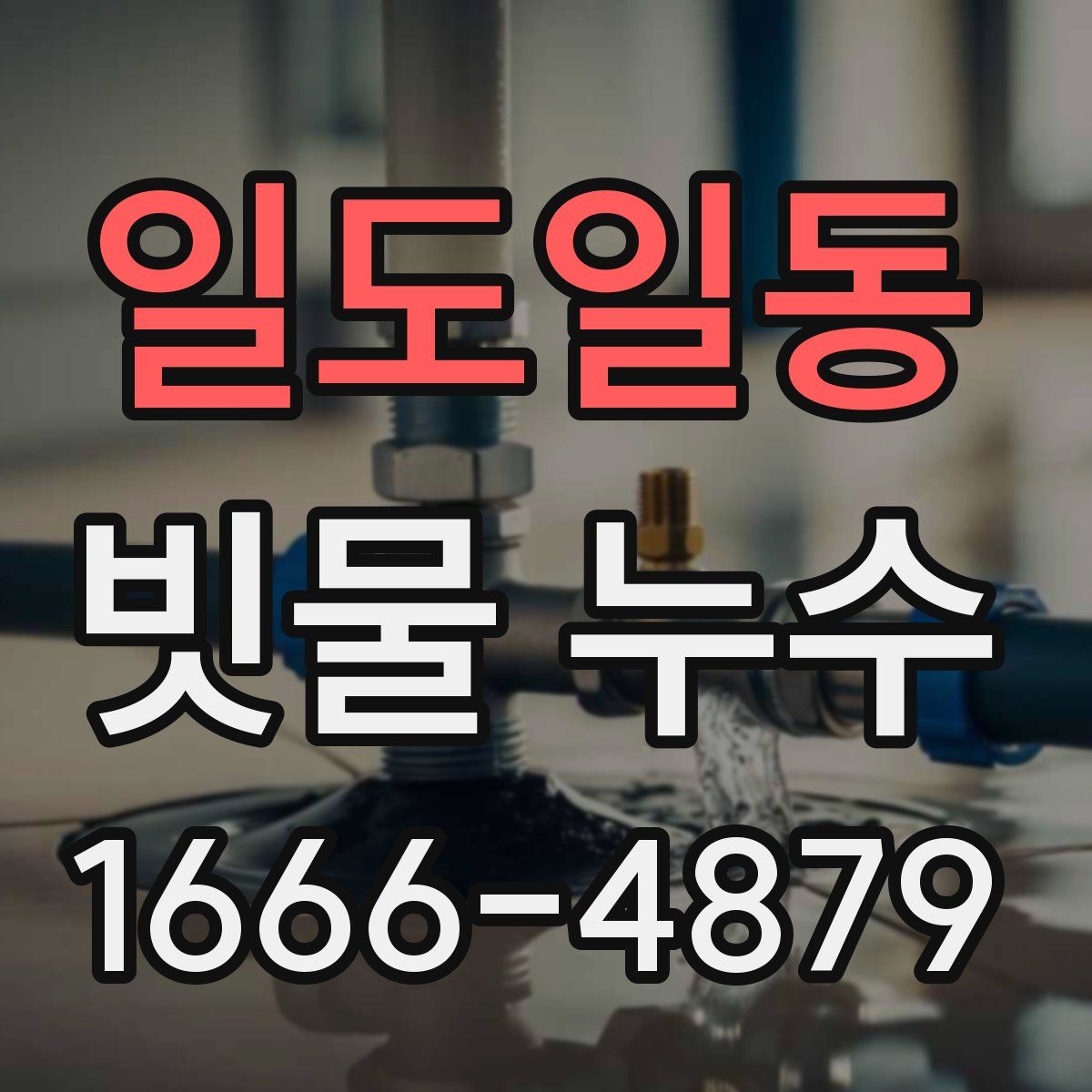 일도일동 빗물 누수