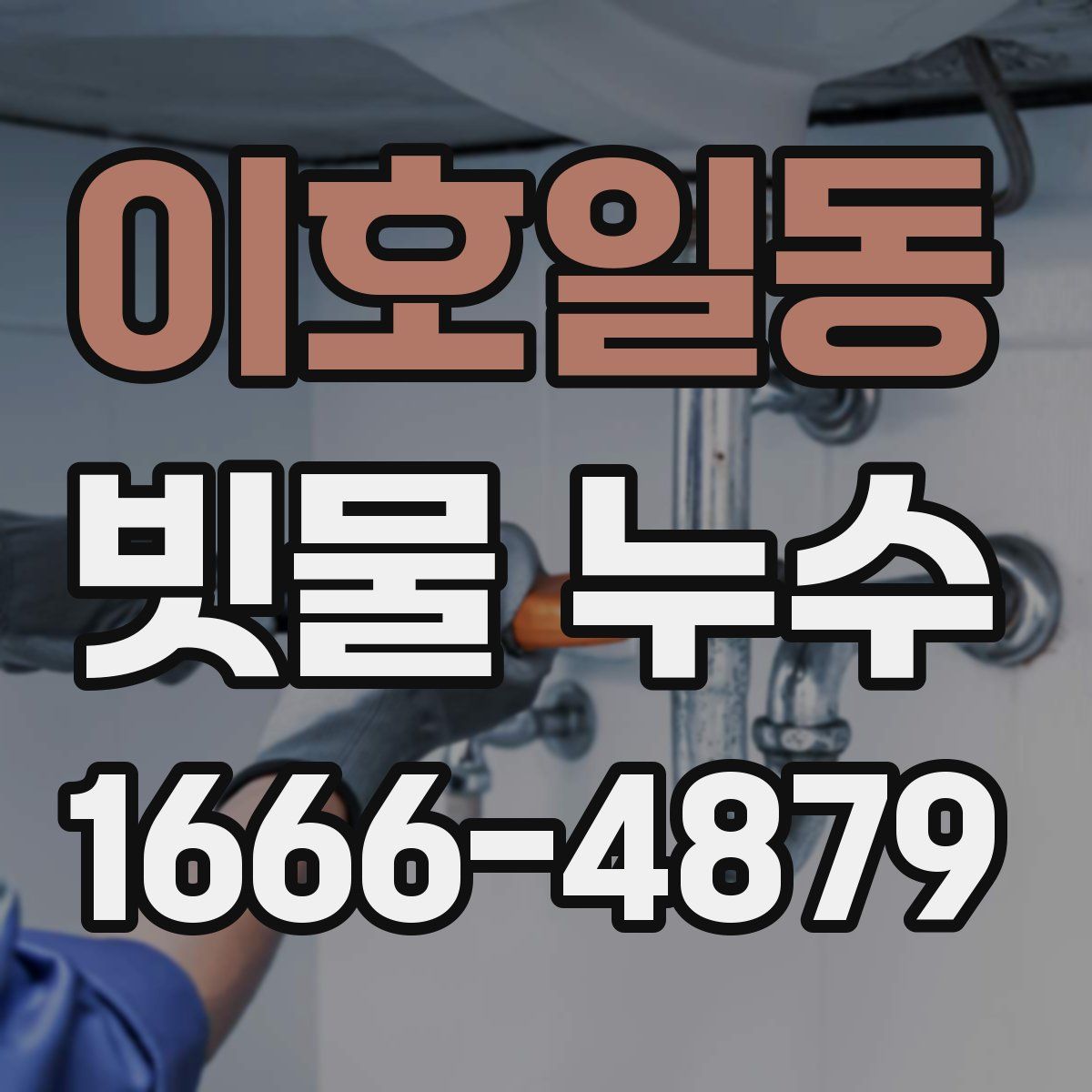 이호일동 빗물 누수