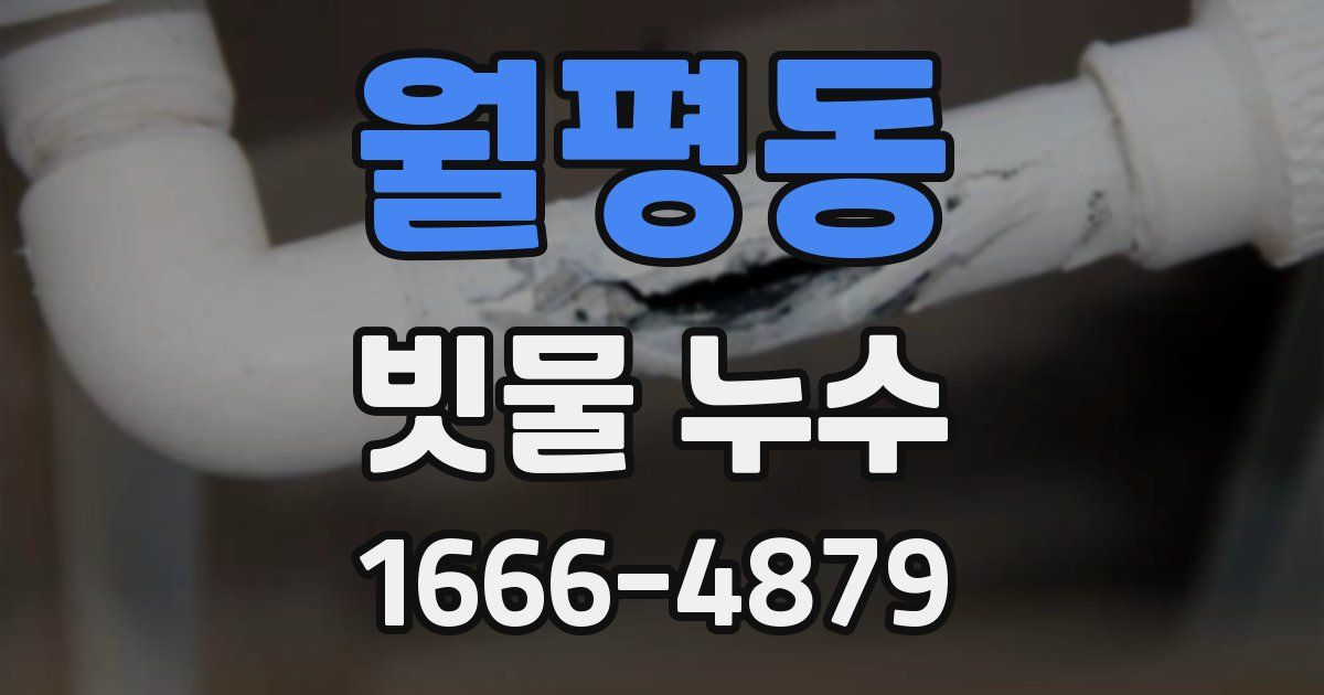월평동 빗물 누수